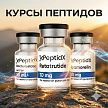 Курсы пептидов